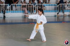 COUPE-JEUNE-SAMOURAI-2026-FAMYK-2