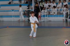 COUPE-JEUNE-SAMOURAI-2026-FAMYK-3