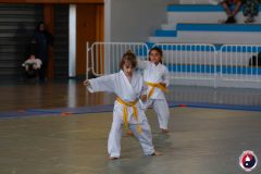 COUPE-JEUNE-SAMOURAI-2026-FAMYK-77