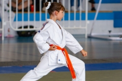 FAMYK-COUPE-KATA-2025-1